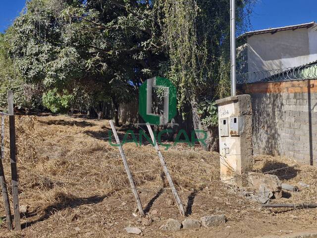 #L0244 - Terreno para Venda em São José da Lapa - MG - 3